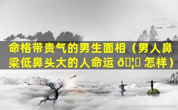 命格带贵气的男生面相（男人鼻梁低鼻头大的人命运 🦆 怎样）